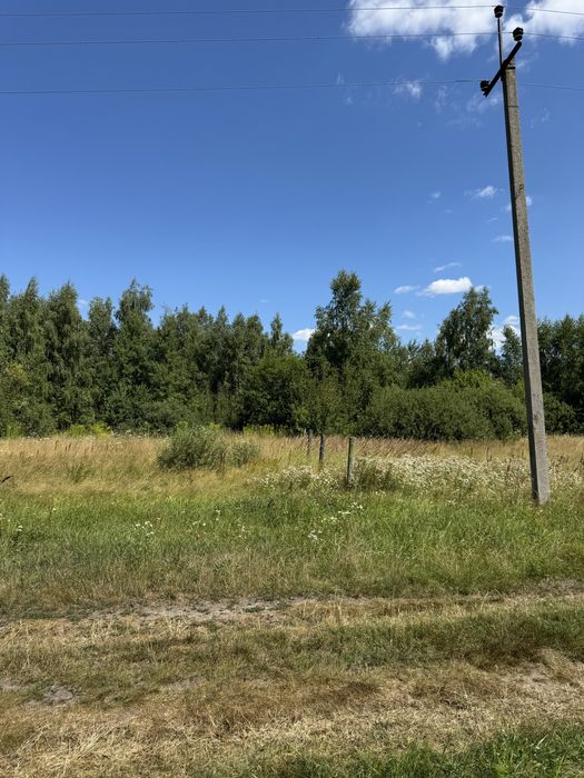 Бабинці. Продаж ділянки 12 соток.