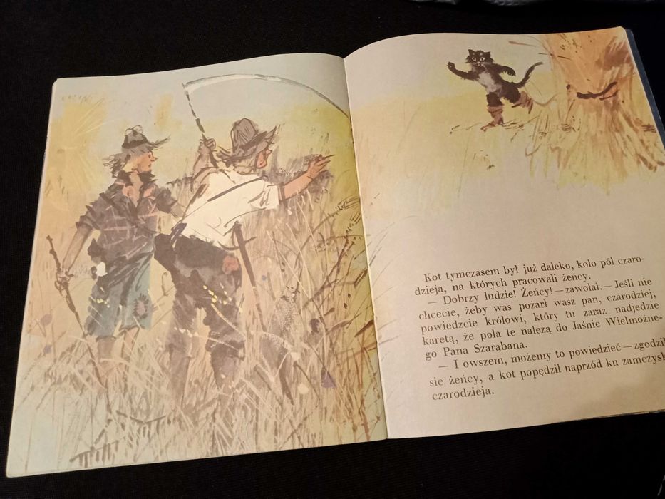 "Kot w butach" Hanna Januszewska