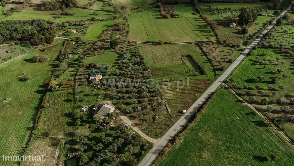 Quintinha / Fundão, Orca