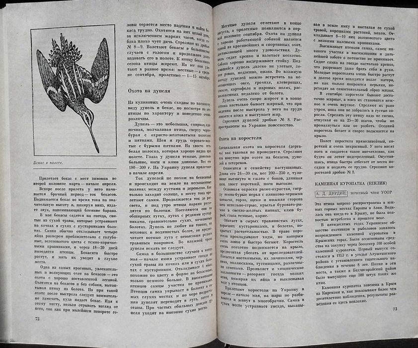 Популярный охотминимум. & Охота.