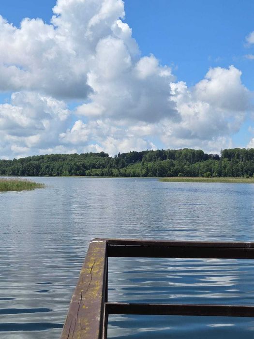 Polskie Malediwy na Mazurach | Działka budowlana w leśnej oazie przy jeziorze - Więcej