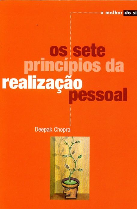 Os Sete Princípios da Realização Pessoal