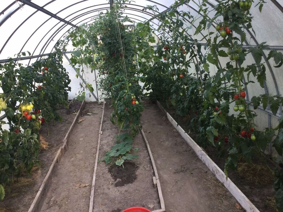 Продається будинок 40 хв від Київа, розвінена інфраструктура.