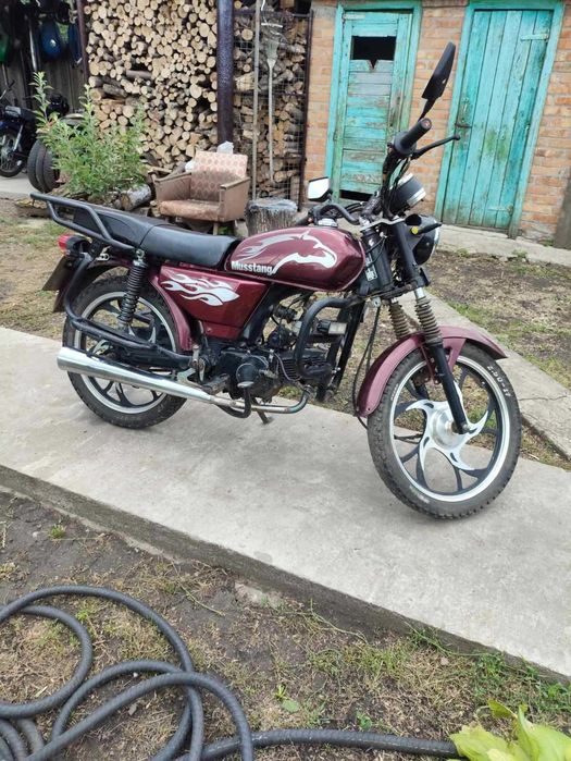 Alpha Musstang 110
