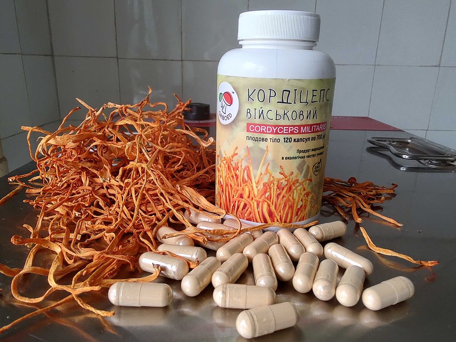 Кордицепс (милитарис) в капсулах - Ваша ЭНЕРГИЯ ЗДОРОВЬЯ! 120 капсул.