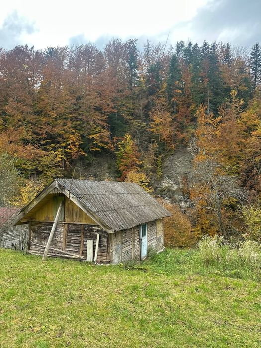 Продається земельна ділянка в Карпатах с.Виженка