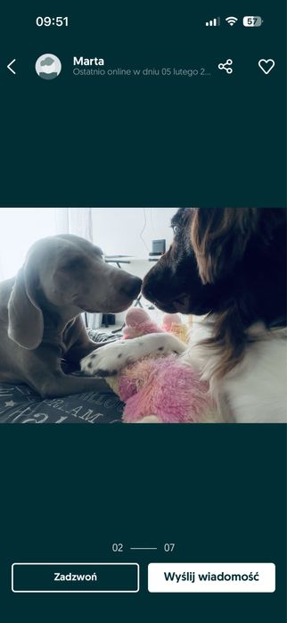 Domowa opieka dla piesków. Hotel