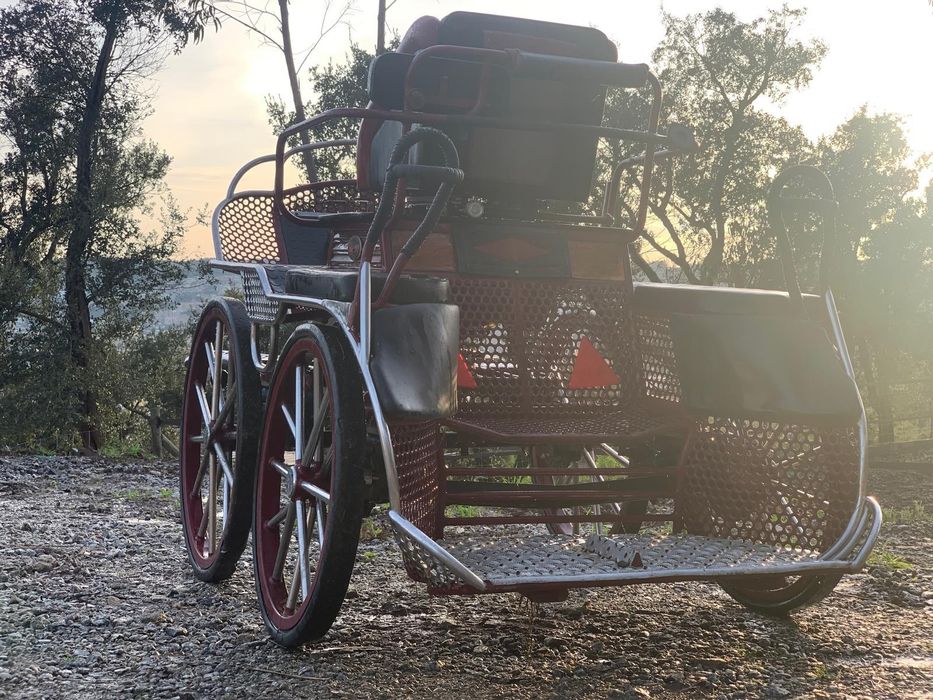 Maratona Competição CAVALOS