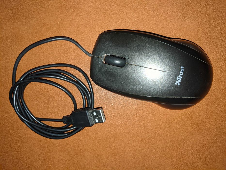 Ratos para computador