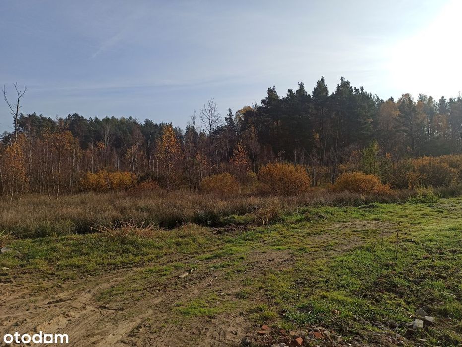 Leśniewo - działka 2369m2 z WZ z 2024r.