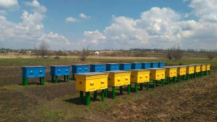 Натуральний квітковий мед