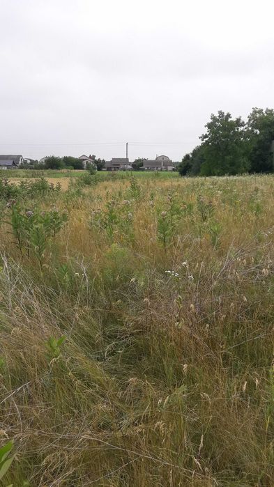 Продаж земельної ділянки в  с. Мошни, вулиця Горіхова