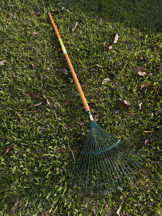 Ancinho de jardim - novo