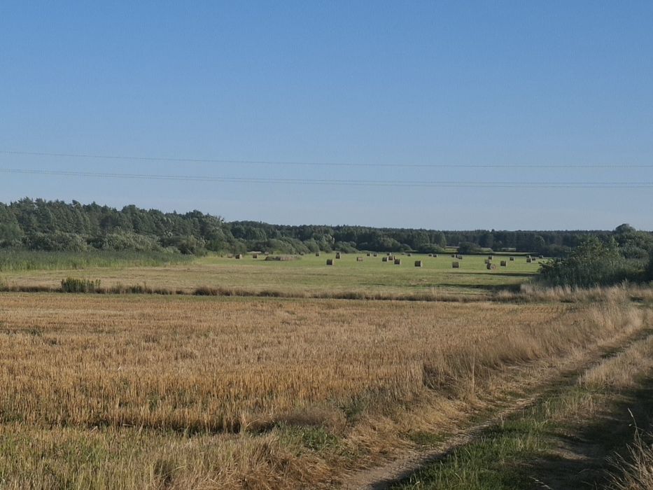 Sprzedam łąkę 2.72ha