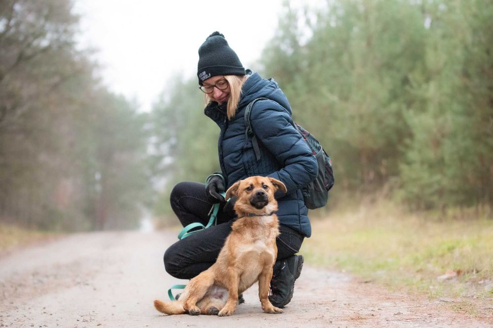 Kortu: dworskie maniery, łagodny charakter