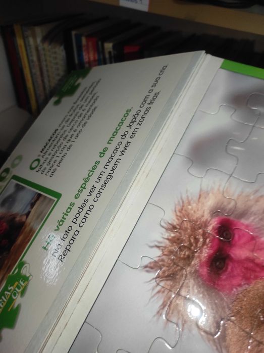 Animais Selvagens e Crias - 5 Puzzles