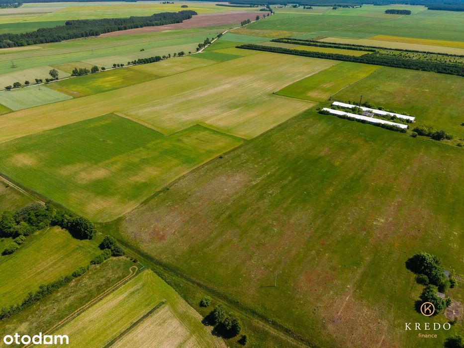 Działka budowlana 1,0036 ha | WZ | Duży potencjał inwest. | Koczała