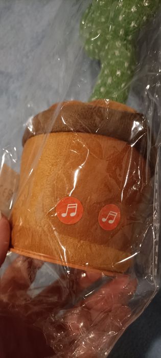 Cacto que dança e canta NOVO