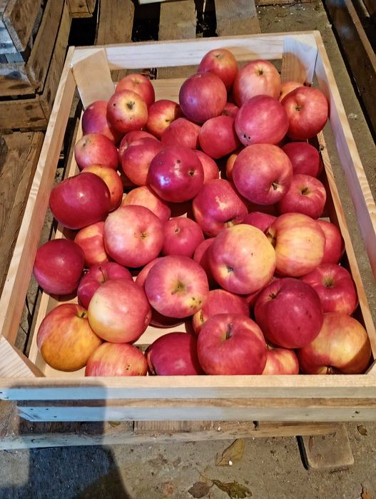 Sprzedam soki z jabłek