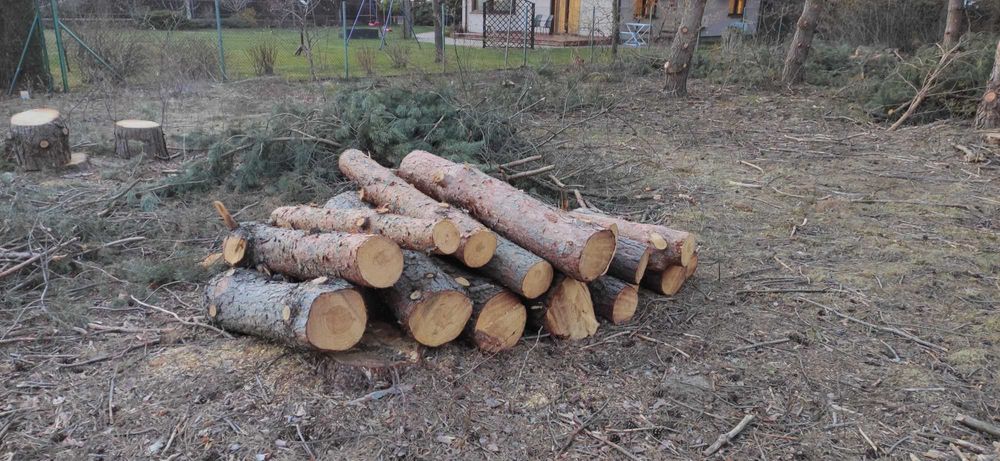 Drewno na opał sosnowe