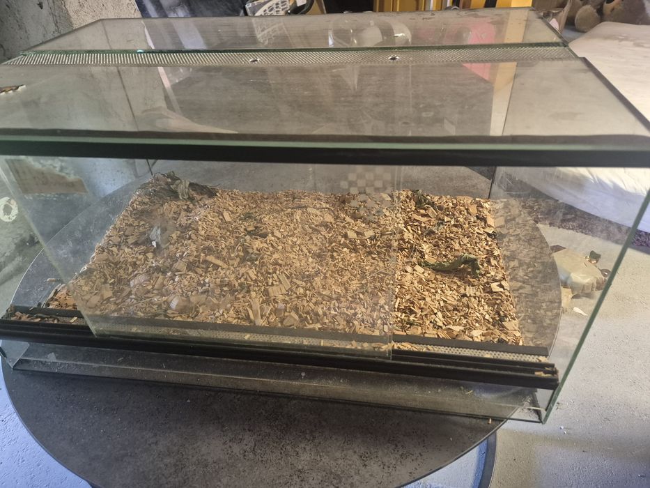 Terarium dla gryzonia jaszczurki, żółwia