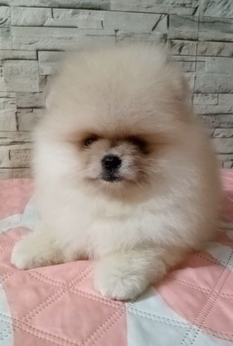 Класнюча дівчинка