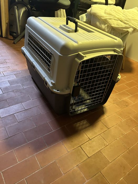 Tranportadora de animais