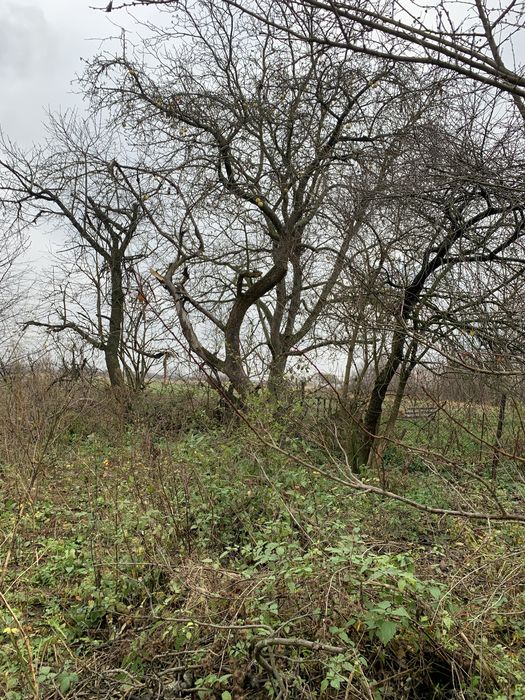 Продаю будинок з земельною ділянкою 15 соток