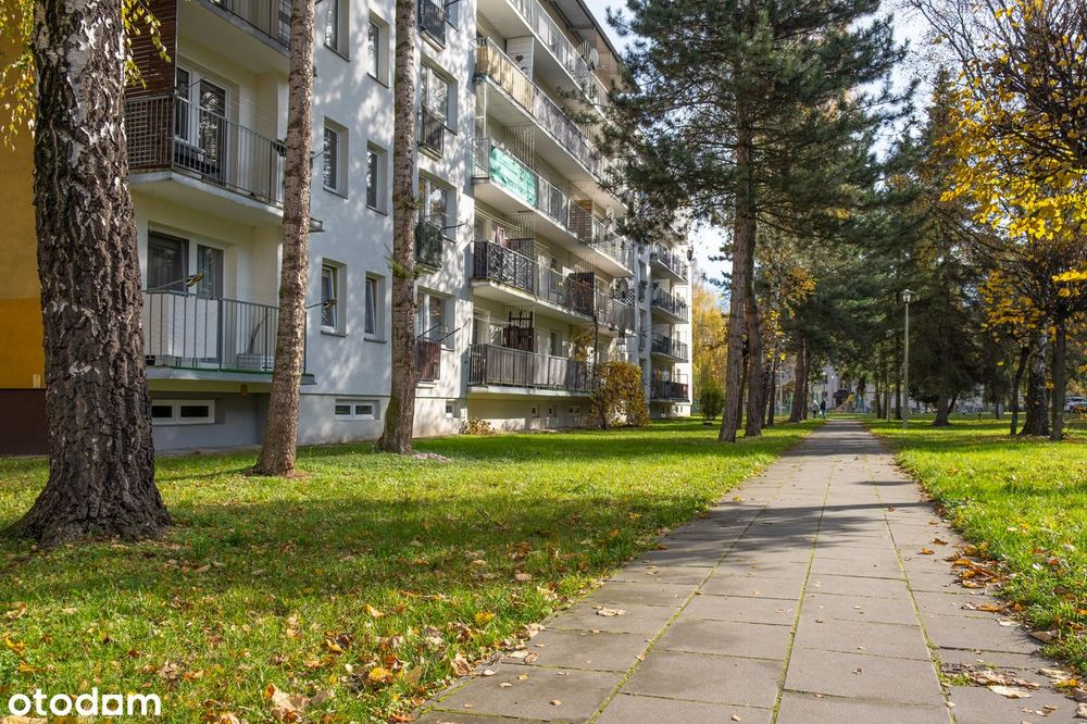 BEZ PROWIZJI | 3-pokoje | do remontu| 56 m² | Os. Kopernika | parter - Więcej