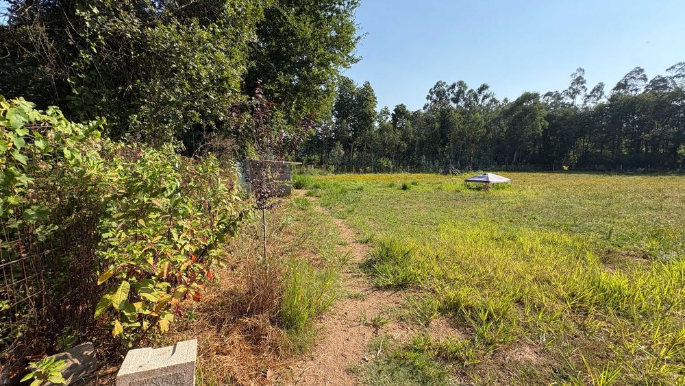 Terreno Rustico em Sandiães