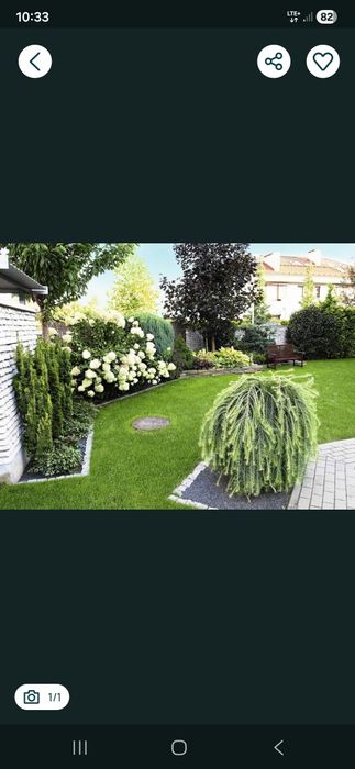 Przycinanie Tui, pielęgnacja ogrodów, wycinki drzew, prace porządkowe