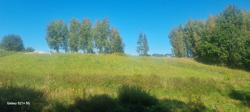 Sprzedam działki rolne - View 4