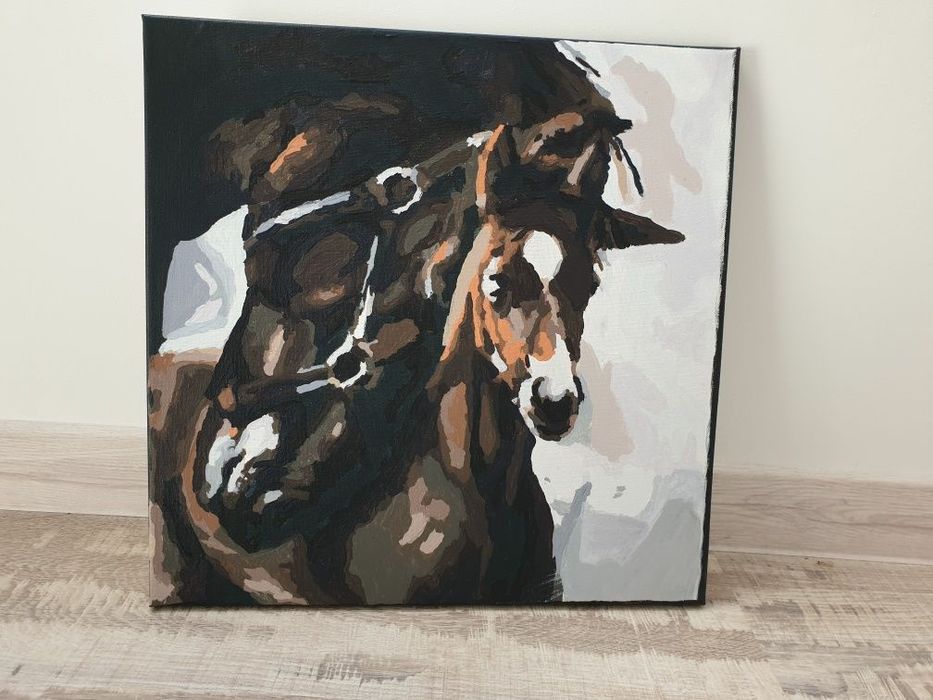 Написана картина по номерах 