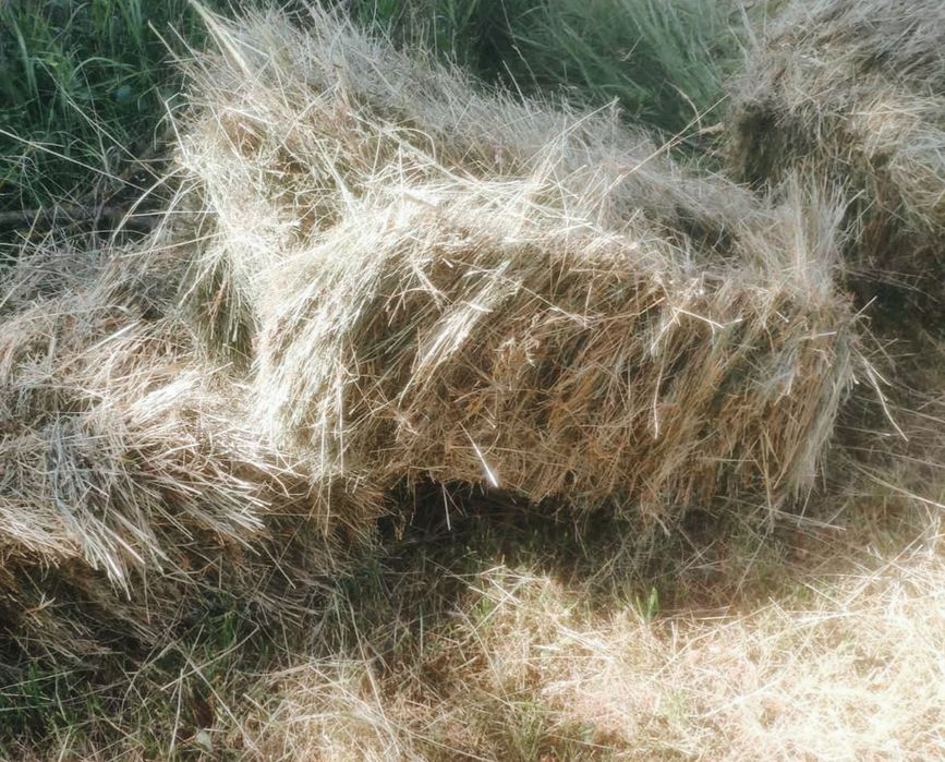 Для сельхоз животных