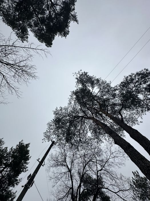 Продаж Бази Відпочинку .  Вишгород село Новосілки ТП Світло 160 кіловат . ГАЗ , Річка водойма 5 хв