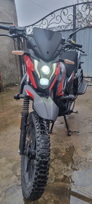 Продам мустанг 250