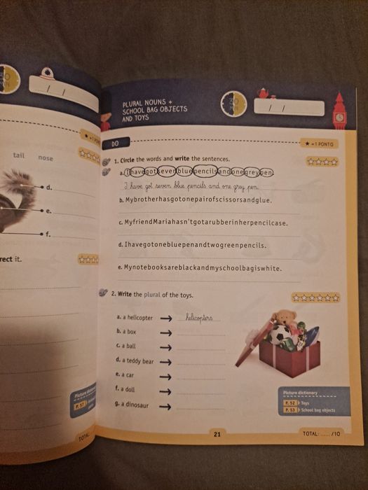 Livro de actividades