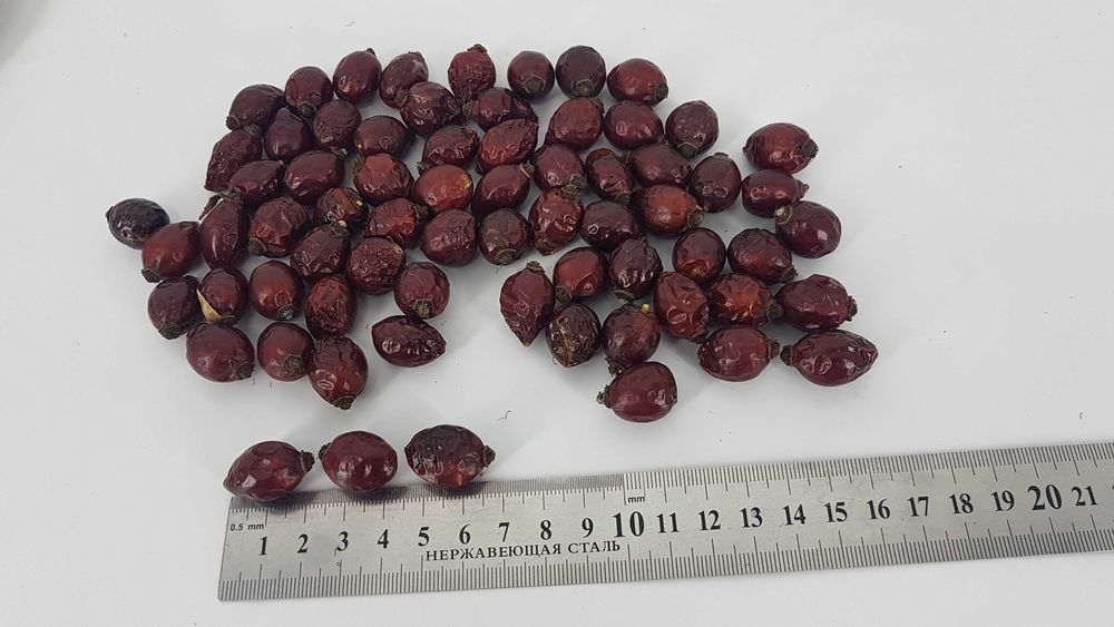 Шиповник отборной, крупный, сушеный, 2025