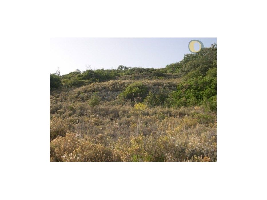Terreno com 1120 m2