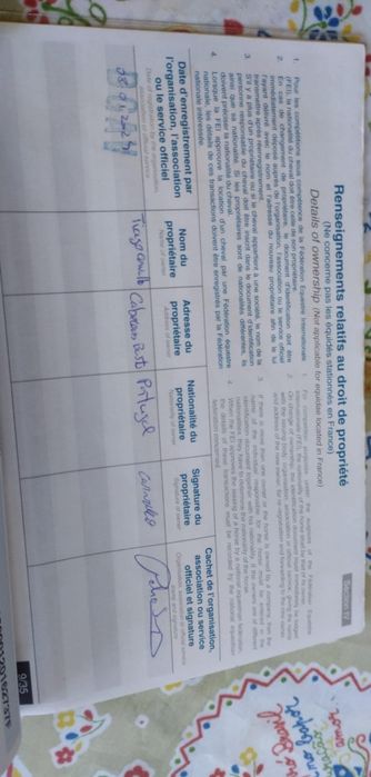 Cavalo tratador francês