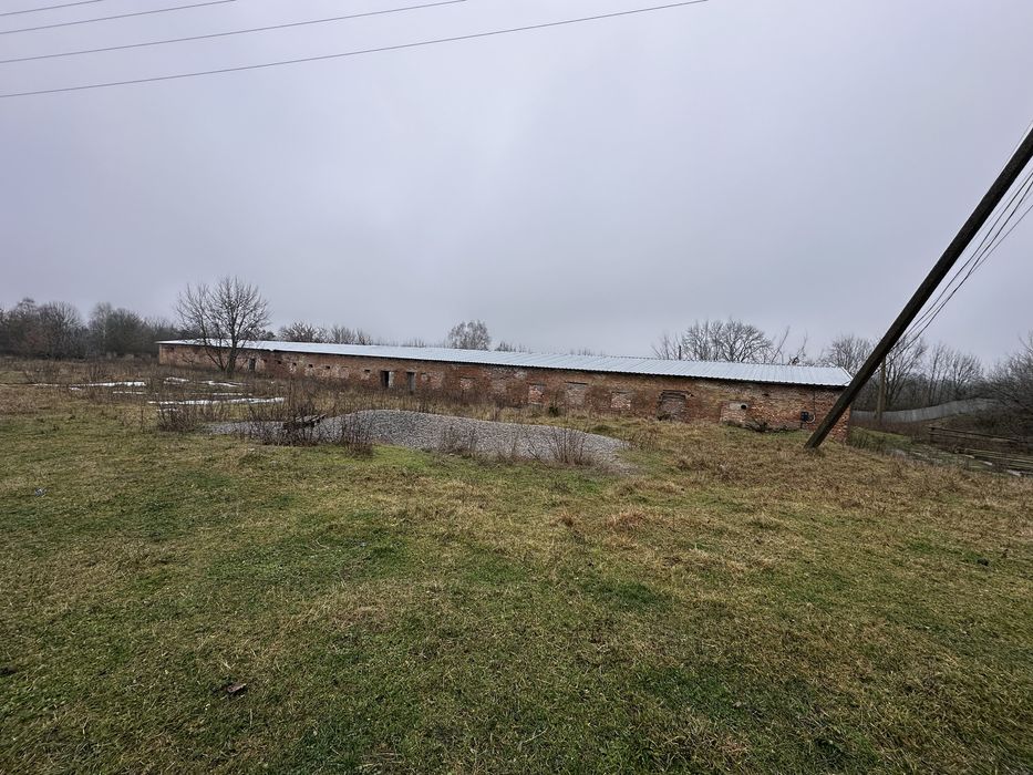 Приміщення , ангари , оренда , ферми,продаж , Село пятка