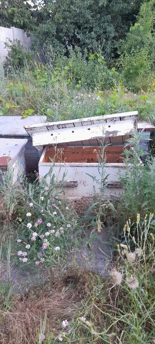 Продам улики без блжіл