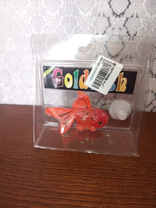 Rybka gold fish do akwarium