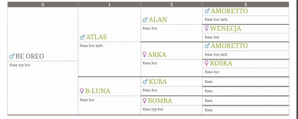 Klacz ogier kuc sprzedaż
