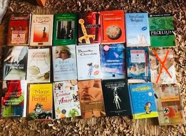 Livros de diferentes géneros literários