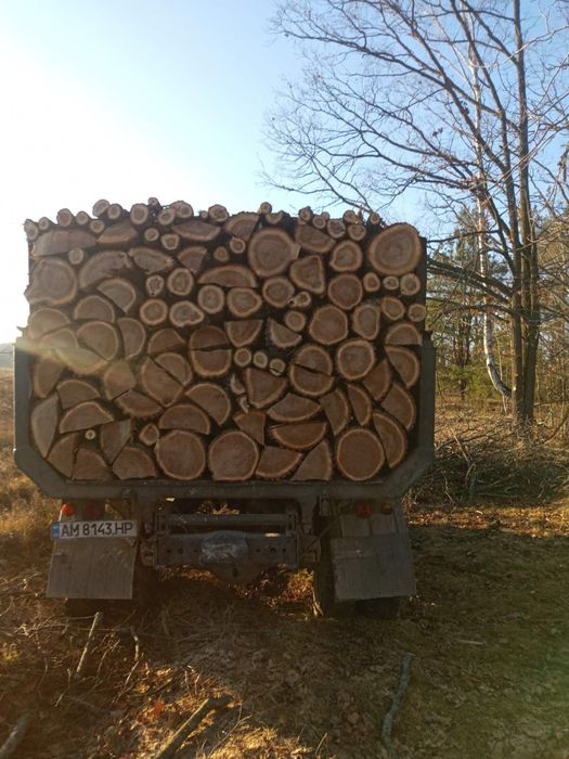 Продам дрова різних порід