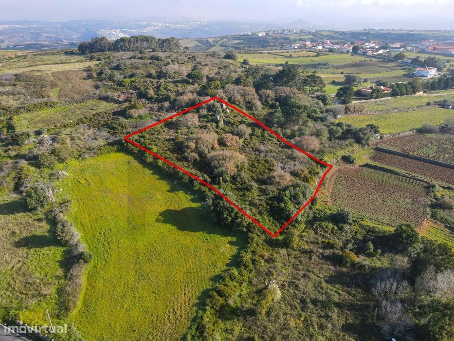 Terreno em Vinha De Chão Rijo — São João Das Lampas E Terrugem, Lisboa