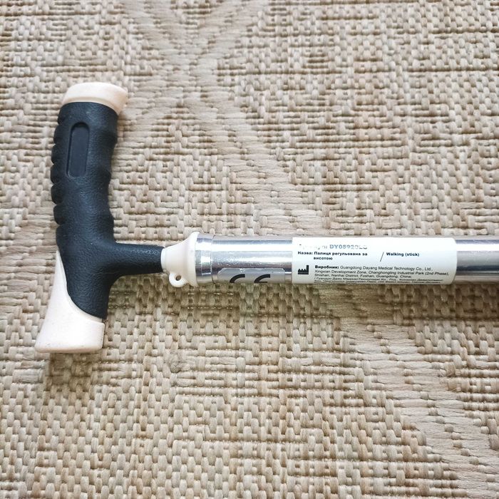 Палиця трость тростина