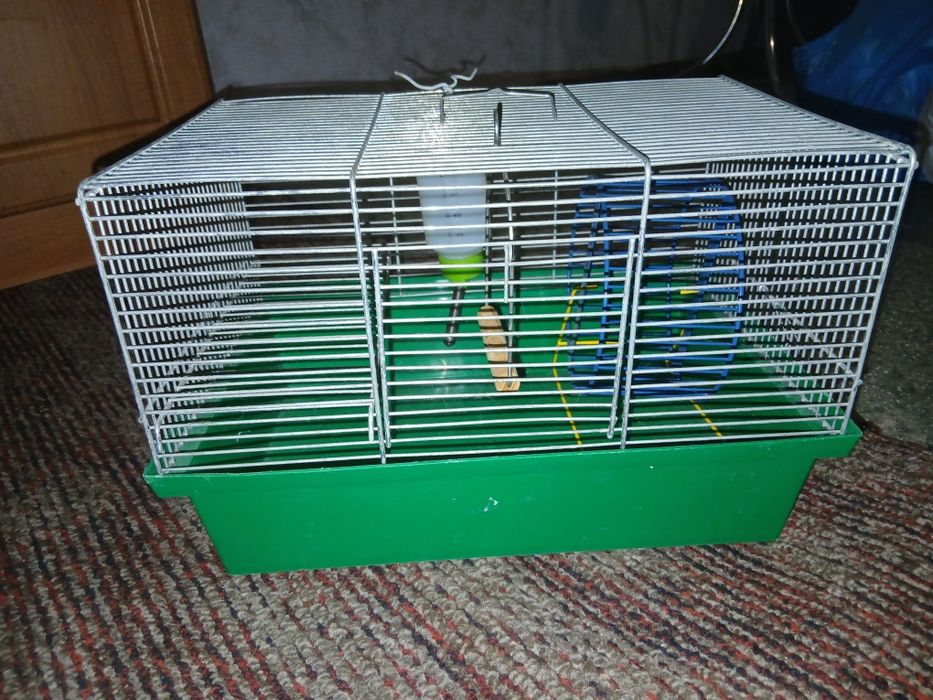 клетки для хомяков и лоток для кота