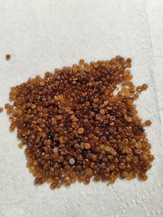 Klej skórny/klej glutynowy